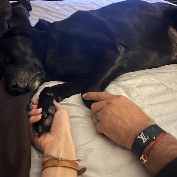 Ketaj21 and Harrisonketahub Live Shows!!! - Picture 2 of 16